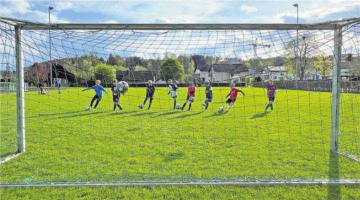 Eine starke Juniorenförderung zeichnet den FC Sins aus. 
Foto: zVg