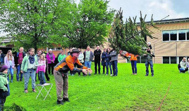 In Schottland werden Baumstämme geworfen, in Abtwil ganze Tannen. Foto: zVg