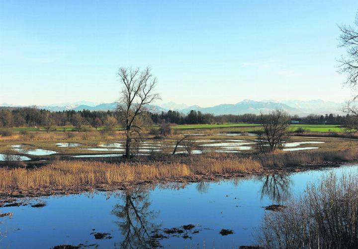 Altwasser-Landschaft Reuss. Foto: zVg