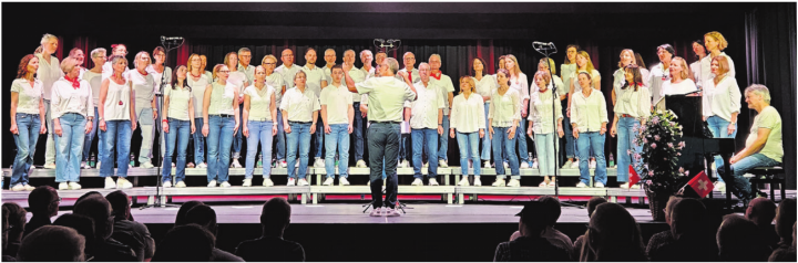 Der gemischte Laienchor «Vocal Friends» am Jahreskonzert in Sins. Fotos: kb
