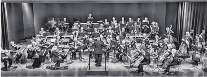 Das Seniorenorchester Luzern gastiert in Muri. Foto: zVg