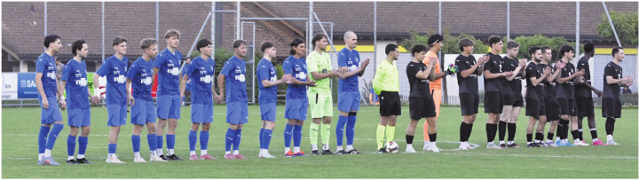 Startaufstellung FC Sins – FC Meggen. Foto: zVg