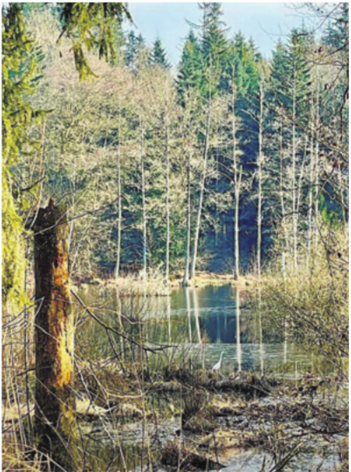 Beim Cholmoos. Foto: zVg