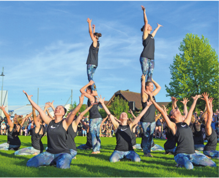 Auf dem Rasen sichern sich die Gymnastikerinnen erneut den Freiämter Meister-Titel! Foto: zVg Auf dem Rasen sichern sich die Gymnastikerinnen erneut den Freiämter Meister-Titel! Foto: zVg