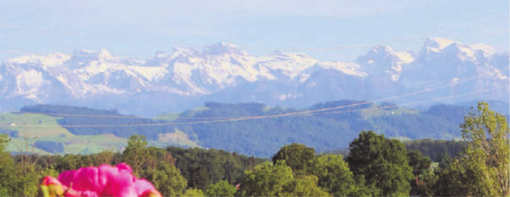 Bergkette, von Auw aus gesehen. Foto: Elena Villiger