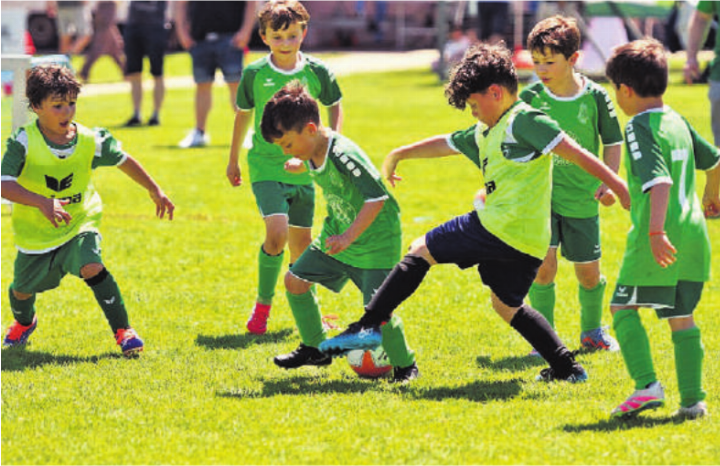 Die Bambinis spielen mit drei Spielern pro Mannschaft auf kleine Tore.