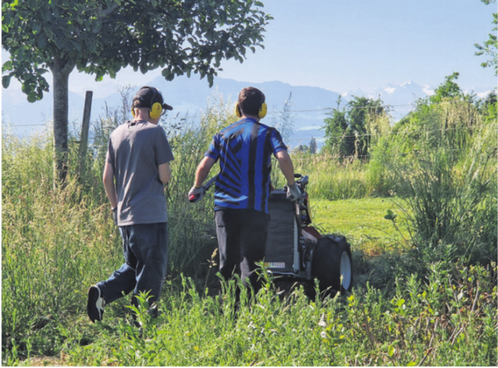 Gekonnt wurde der Balkenmäher durchs hohe Gras manövriert. Foto: zVg