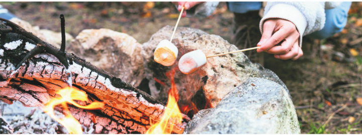 Ab sofort gilt im Wald und am Waldrand ein Feuerverbot. Foto: magnific.com