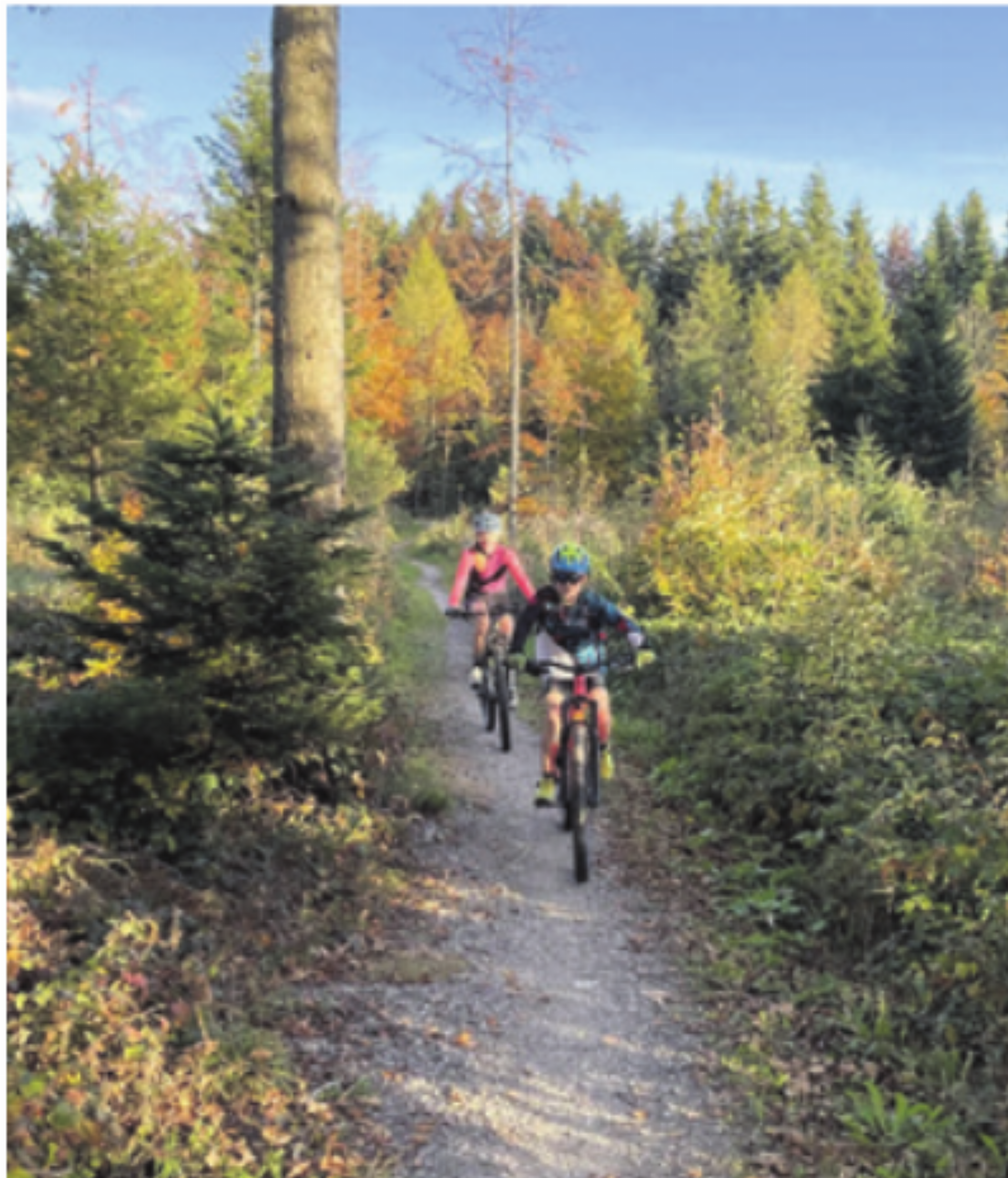 Attraktives und gelenktes Mountainbike-Angebot für den Lindenberg nimmt Form an - Das Bild wird blockiert. – Möglicherweise durch einen aktiven Adblocker.