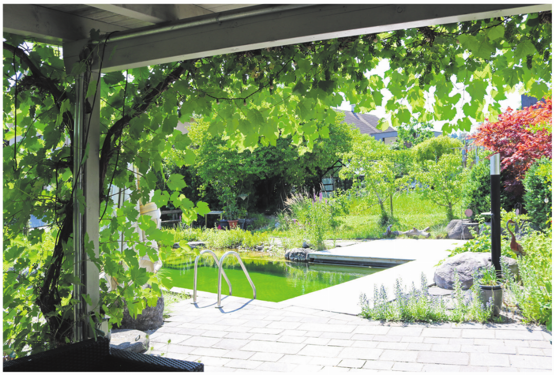 Es gleicht einer Ferienidylle: Blick aus der Gartenlaube zum Naturschwimmteich. Fotos: ci Es gleicht einer Ferienidylle: Blick aus der Gartenlaube zum Naturschwimmteich. Fotos: ci