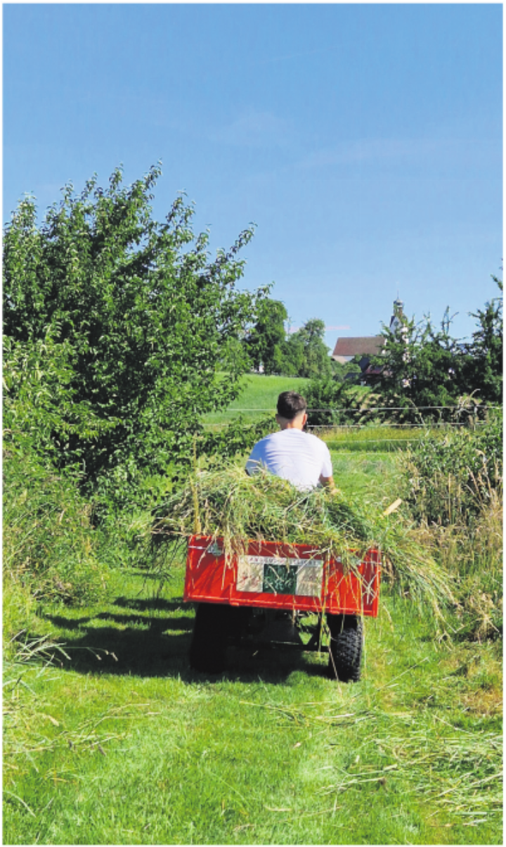 Einsatz auf dem Landgut Weitsicht in Wiggwil. Foto: zVg
