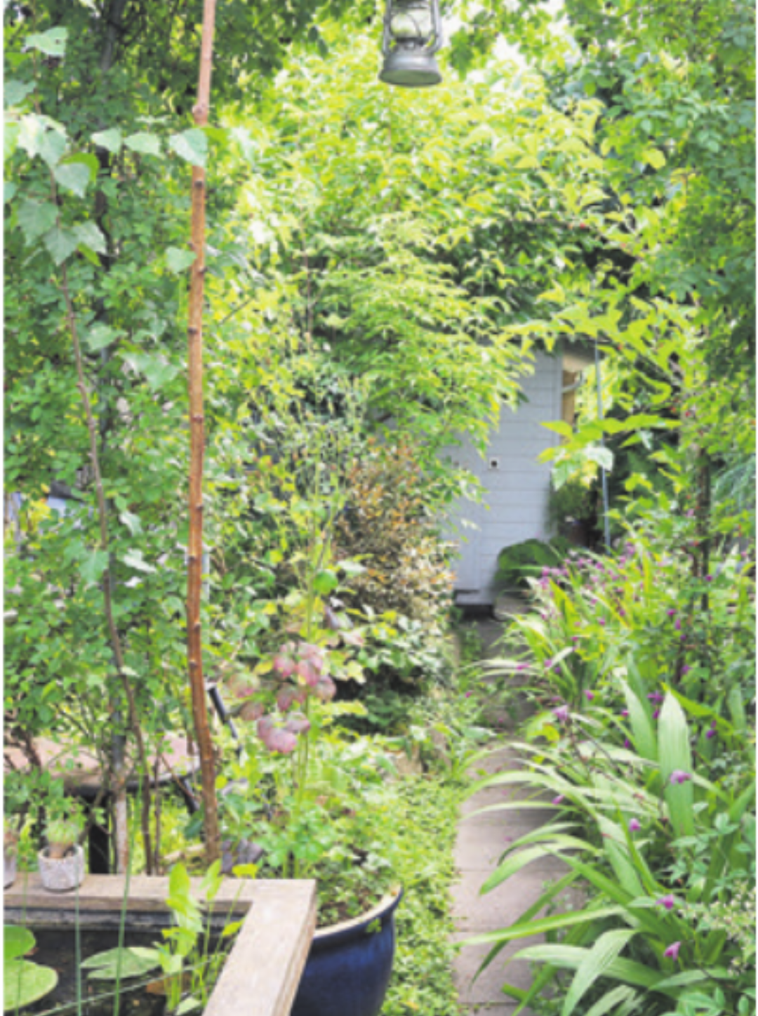 Wild und schön zeigt sich der Gartenbereich. Hier wachsen alte Beerensorten und selten gesehene Blumen wie die japanische Krötenlilie. Wild und schön zeigt sich der Gartenbereich. Hier wachsen alte Beerensorten und selten gesehene Blumen wie die japanische Krötenlilie.