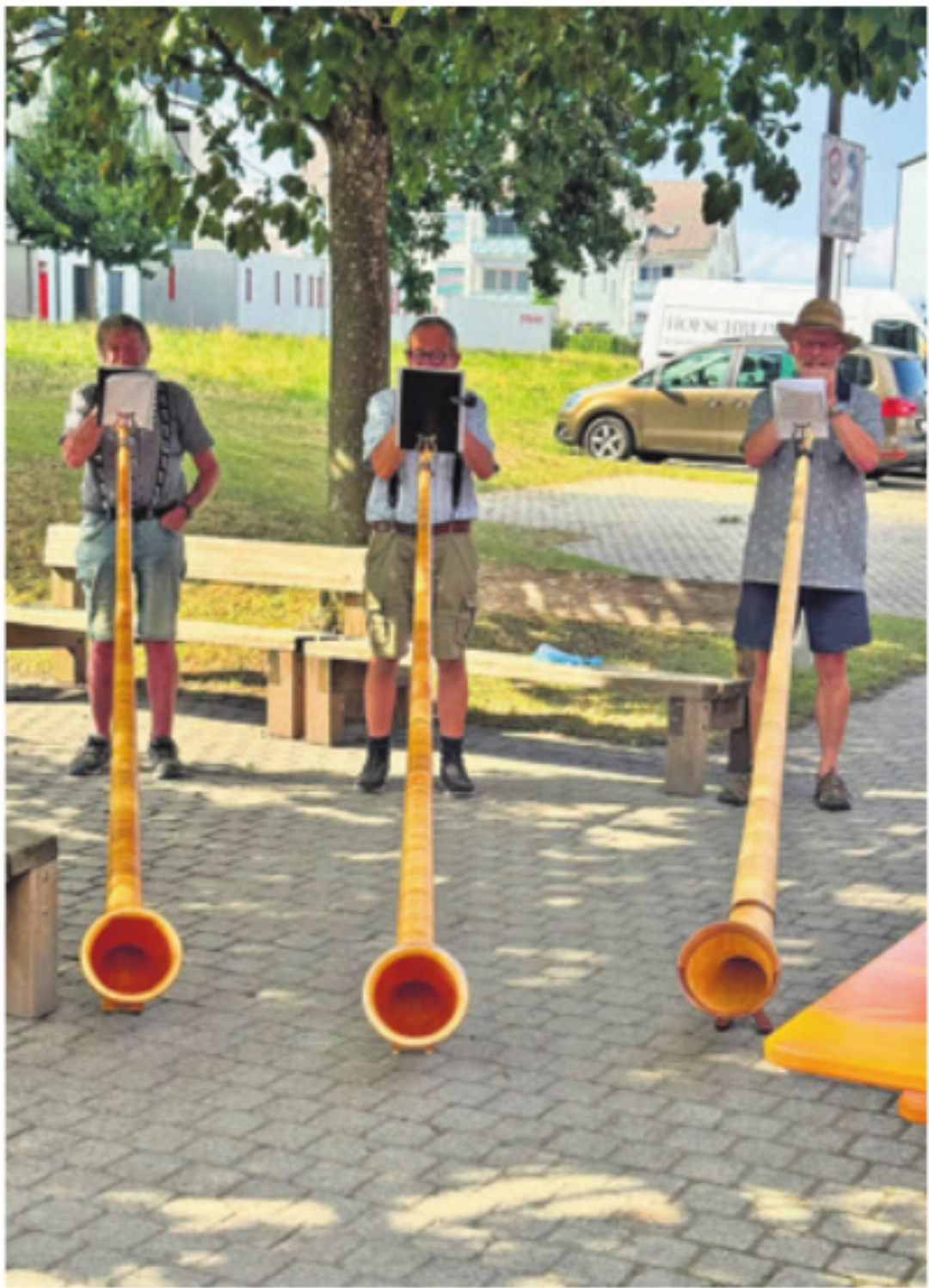 Die Alphornbläser Auw. Die Alphornbläser Auw.