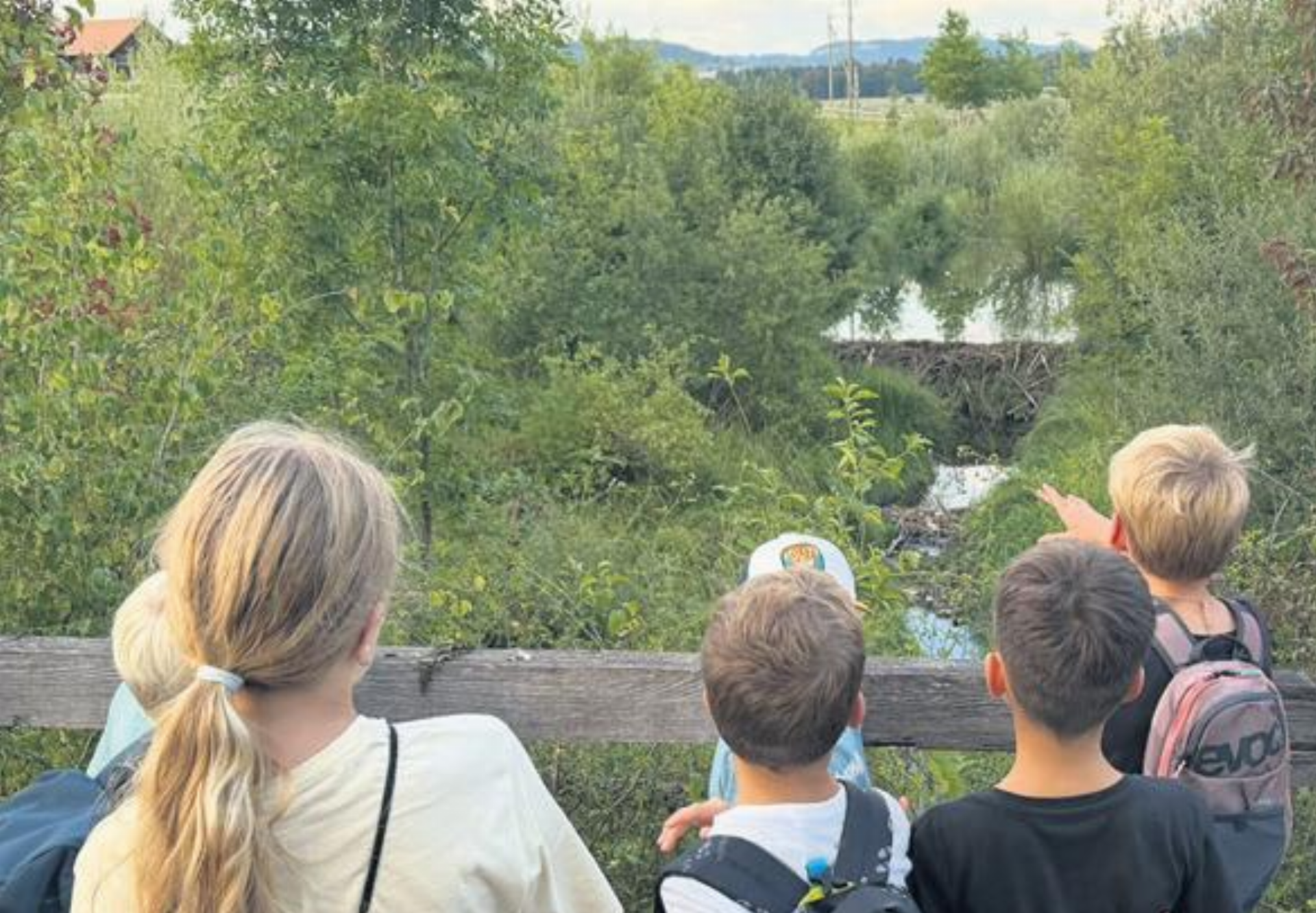 Ferien(S)pass Auw – Abenteuer, Kreativität und Spass - Das Bild wird blockiert. – Möglicherweise durch einen aktiven Adblocker.