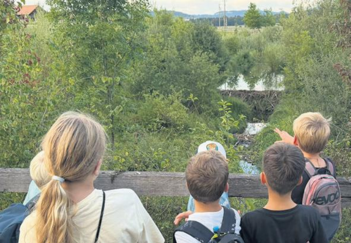Dem Biber auf der Spur. Fotos: zVg