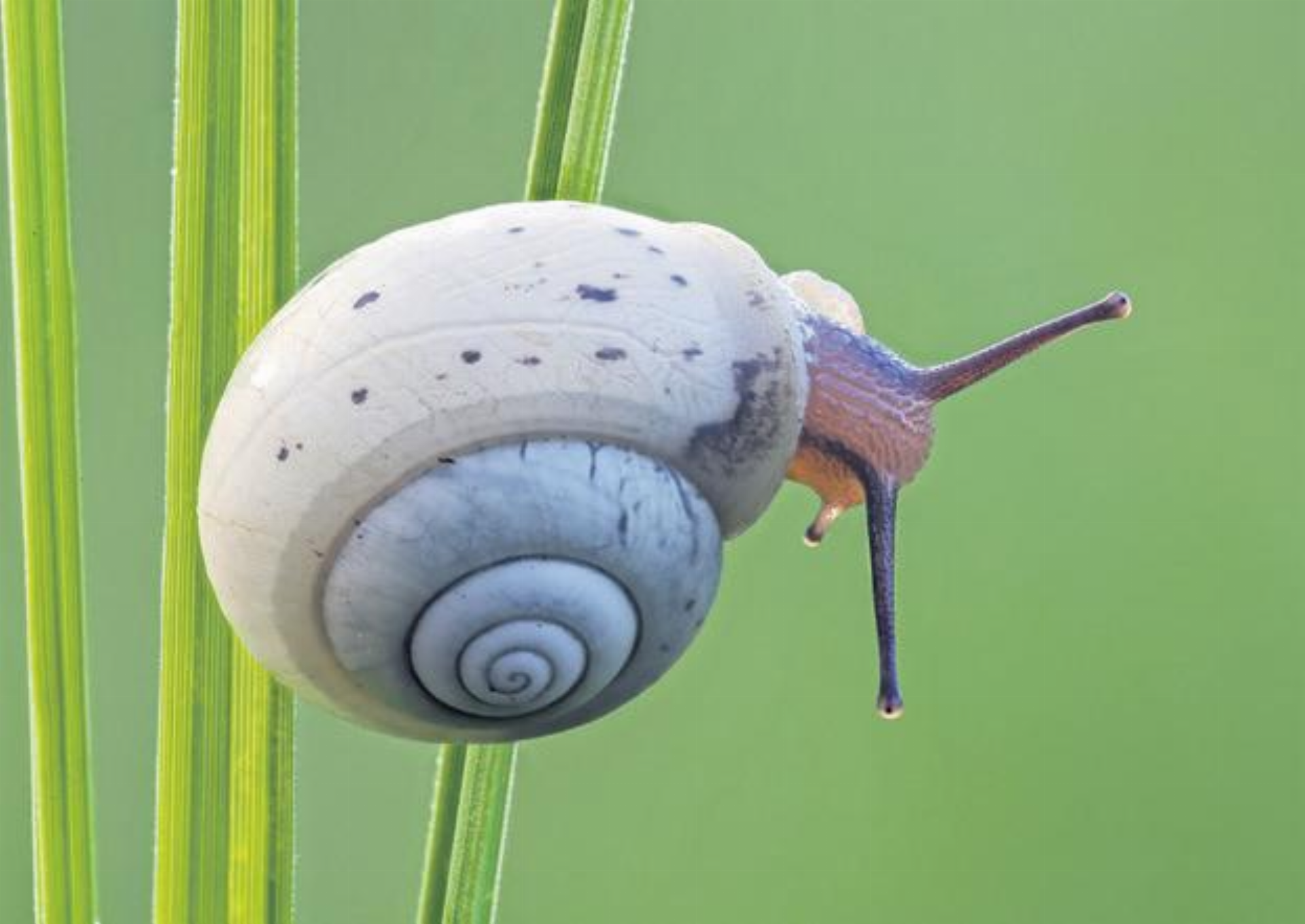 Natur vor der Linse - Das Bild wird blockiert. – Möglicherweise durch einen aktiven Adblocker.