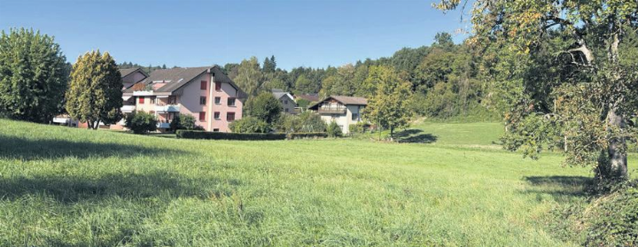 Das noch unbebaute Gebiet bei der Tellstrasse. Die neuen Gebäude sollen maximal vier Geschosse inklusive Attikaoder Dachgeschoss aufweisen. Fotos: rah Das noch unbebaute Gebiet bei der Tellstrasse. Die neuen Gebäude sollen maximal vier Geschosse inklusive Attikaoder Dachgeschoss aufweisen. Fotos: rah