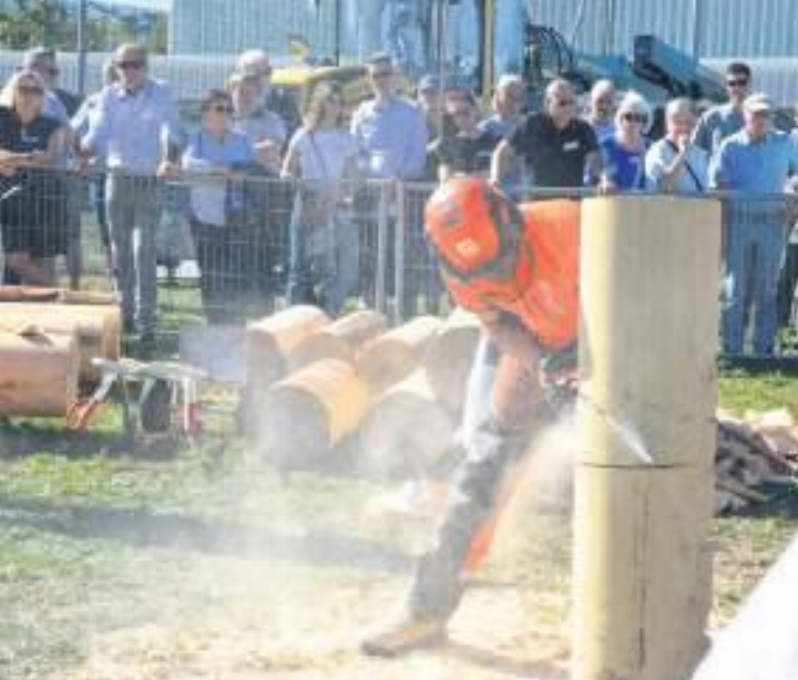 Der Winkel und die Tiefe der Fallkerbe müssen genau stimmen, damit es viele Punkte gibt. Fotos: aro Der Winkel und die Tiefe der Fallkerbe müssen genau stimmen, damit es viele Punkte gibt. Fotos: aro
