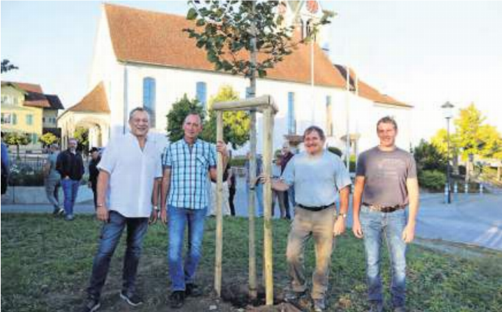 Sie freuen sich, dass nun wieder eine Linde zwischen der Kirche und dem Gemeindehaus steht: Präsident der Gerechtigkeit Sins Alexander Eigensatz, Präsident der Kirchenpflege Josef Villiger, Gemeindeammann Jakob Sidler und Stefan Sachs (von links).  Fotos: ci