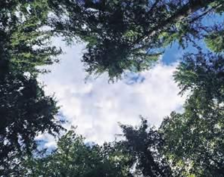 «Wenn der Himmel Herzen malt…», das Gewinnerbild des Monats August auf dem digitalen Dorfplatz «Crossiety». Foto: Vreni Mente «Wenn der Himmel Herzen malt…», das Gewinnerbild des Monats August auf dem digitalen Dorfplatz «Crossiety». Foto: Vreni Mente