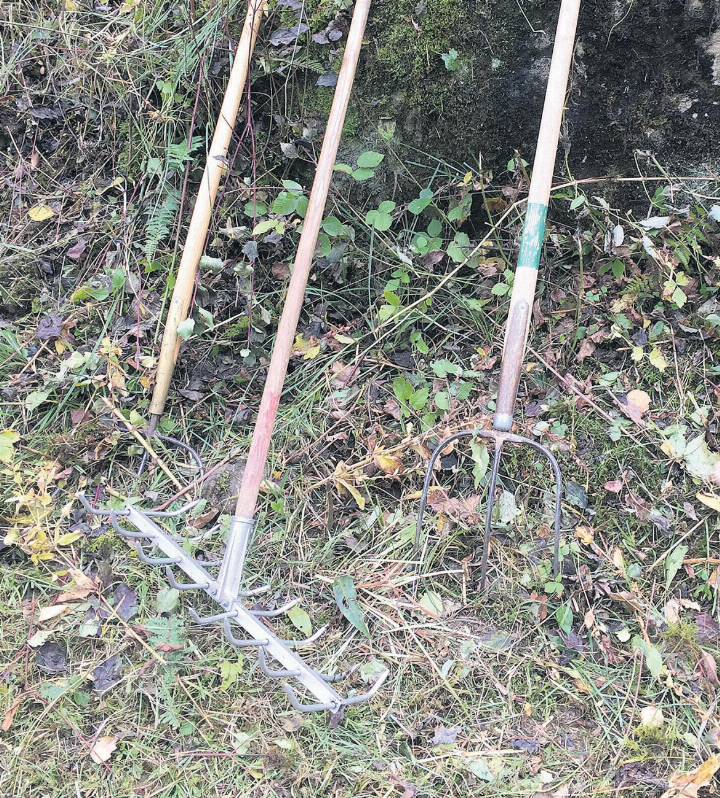 Hilfe gesucht für den alljährlichen Pflegeeinsatz. Foto: zVg