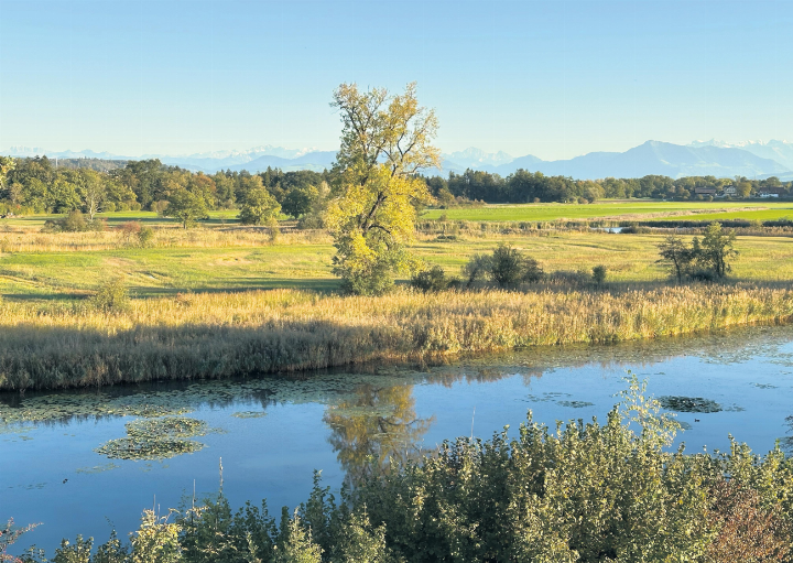 Altwasser-Landschaft in Rottenschwil. Foto: zVg